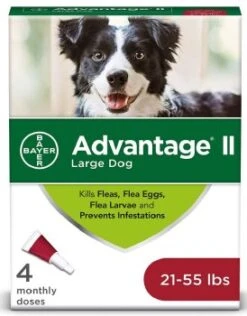 AdvantageII 21-55lbs 4 Dose