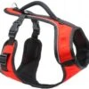 PetSafeEasySportHarnessOng Md