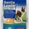PetSafeGentleLeaderRed Md
