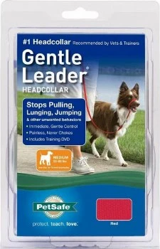 PetSafeGentleLeaderRed Md