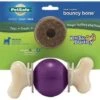 PetSafeBuddyBouncyBonePrp Md