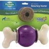 PetSafeBuddyBouncyBonePrp Lg
