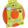JollyPets Flyer Ong Lg 9.5in