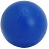 JPPushNPlayBallBlu Lg 10"