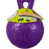 JollyPetTugNTossBallPrp Md 6in
