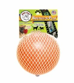 JollyPets BounceNPlayOngVan Md