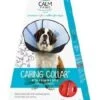 AcornPetCalmPawsCaringCollarXL