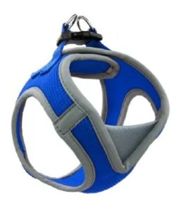 DocoAthleticaHarness1x20-28Blu