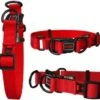 DocoCollarRed1.5 X20/30inDDXL