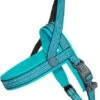 DocoVARIONeopreneHarnessSmTurq