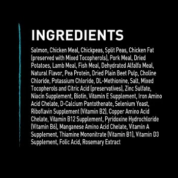 CraveSalmonOceanFishDogGF 4lb - Image 2